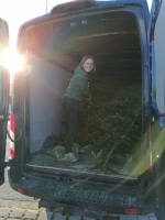 Christbaumaktion 2023